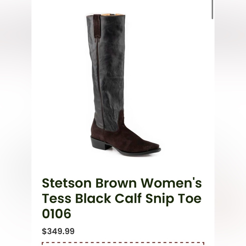 Stetson Brown Women's Tess Black Calf Snip Toe